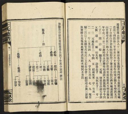 湖南王氏族谱-王氏总谱 [8卷].pdf电子版插图5