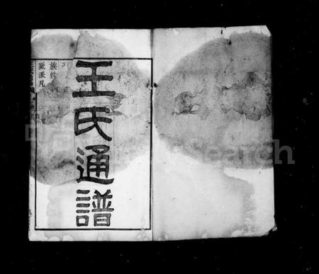 湖南王氏族谱-王氏通谱 [106卷,首2卷].pdf电子版插图2