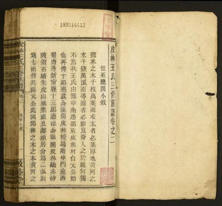 湖南王氏族谱-皮林王氏三修族谱.pdf电子版插图1 湖南王氏族谱-皮林王氏三修族谱.pdf电子版插图1