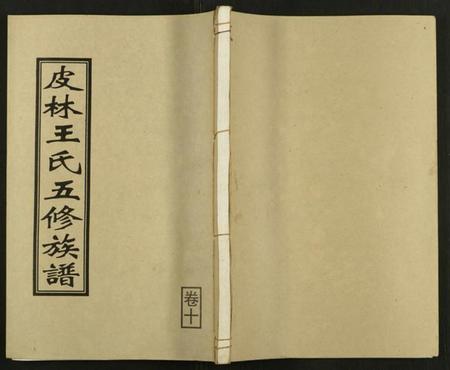 湖南王氏族谱-皮林王氏五修族谱 [26卷].pdf电子版