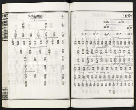 湖南王氏族谱-皮林王氏五修族谱 [26卷].pdf电子版插图4