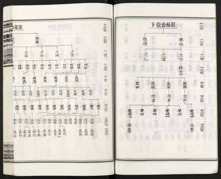 湖南王氏族谱-皮林王氏五修族谱 [26卷].pdf电子版插图5