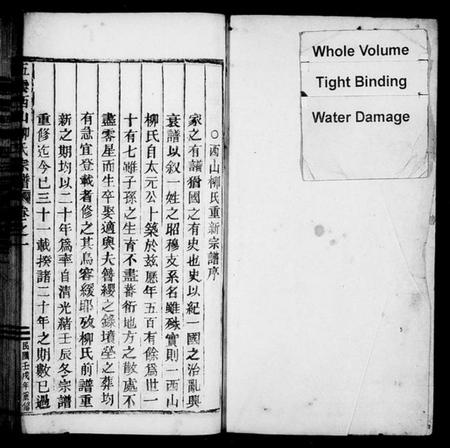 浙江柳氏族谱-西山柳氏宗谱[5卷].pdf电子版插图2