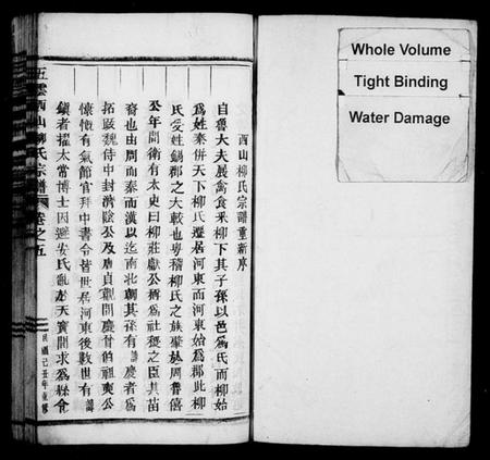 浙江柳氏族谱-西山柳氏宗谱[5卷].pdf电子版插图2