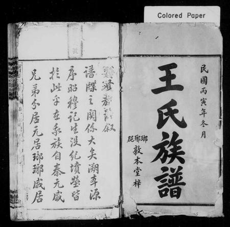 湖南王氏族谱-衡湘王氏四修族谱 [12卷].pdf电子版插图2