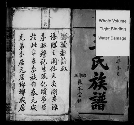 湖南王氏族谱-衡湘王氏四修族谱 [12卷].pdf电子版插图3