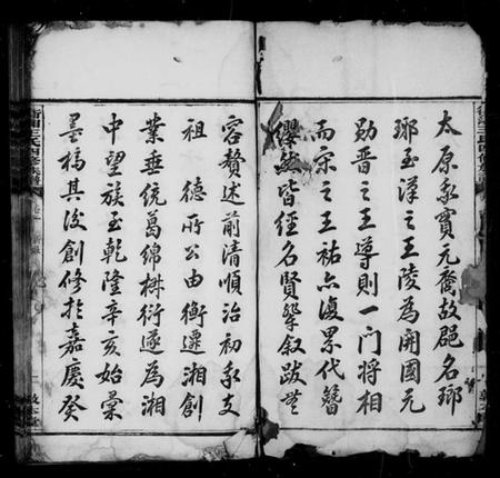 湖南王氏族谱-衡湘王氏四修族谱 [12卷].pdf电子版插图5