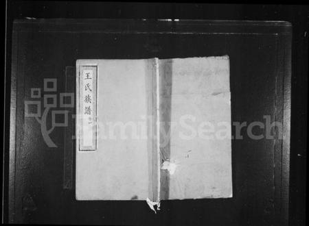 湖南王氏族谱-衡湘王氏族谱 [10卷].pdf电子版插图1