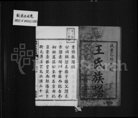 湖南王氏族谱-衡湘王氏族谱 [10卷].pdf电子版插图3