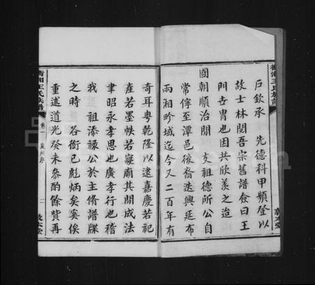 湖南王氏族谱-衡湘王氏族谱 [10卷].pdf电子版插图4