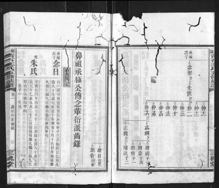 湖南王氏族谱-衡阳青石王氏五修族谱.pdf电子版插图3 湖南王氏族谱-衡阳青石王氏五修族谱.pdf电子版插图3