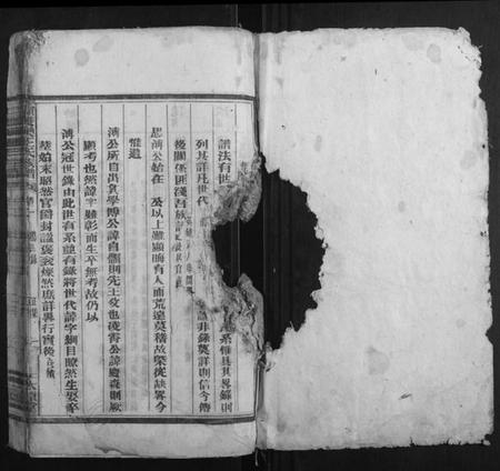 湖南王氏族谱-资兴双溪王氏族谱.pdf电子版插图1 湖南王氏族谱-资兴双溪王氏族谱.pdf电子版插图1