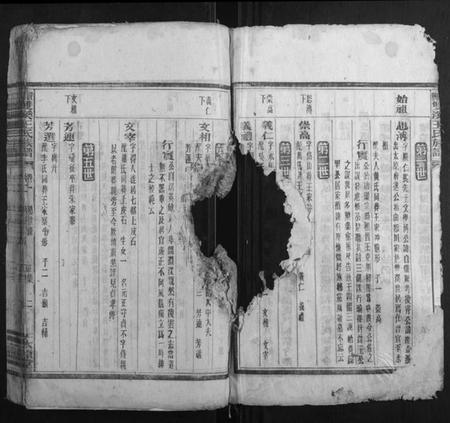 湖南王氏族谱-资兴双溪王氏族谱.pdf电子版插图2 湖南王氏族谱-资兴双溪王氏族谱.pdf电子版插图2