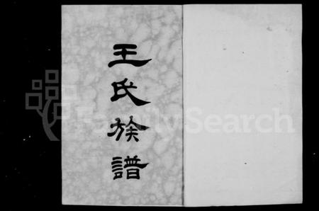 湖南王氏族谱-长沙涧湖塘王氏族谱 [15卷].pdf电子版插图2