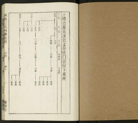 湖南王氏族谱-双衡王氏四修族谱 [14卷].pdf电子版插图1