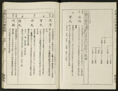 湖南王氏族谱-双衡王氏四修族谱 [14卷].pdf电子版插图2