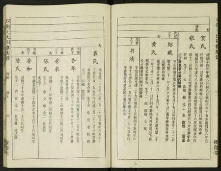 湖南王氏族谱-双衡王氏四修族谱 [14卷].pdf电子版插图3