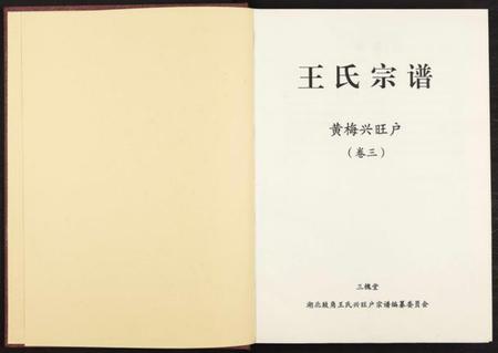 湖南王氏族谱-黄梅兴旺户王氏宗谱 [3卷].pdf电子版插图2
