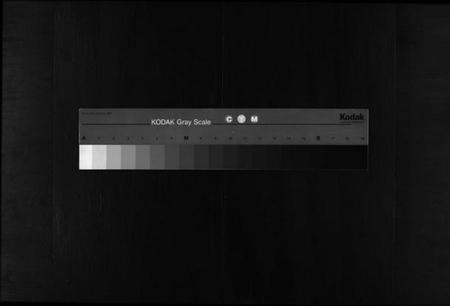 浙江金氏族谱-西衕金氏宗谱 [3卷].pdf电子版