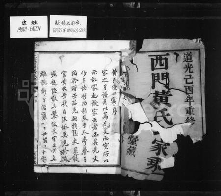 浙江黄氏族谱-西门黄氏家乘 [14卷].pdf电子版插图4