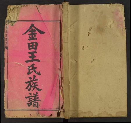 湖南王氏族谱-金田王氏族谱 [残卷].pdf电子版