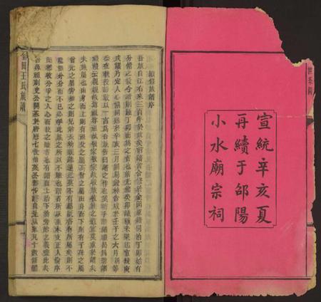 湖南王氏族谱-金田王氏族谱 [残卷].pdf电子版插图1