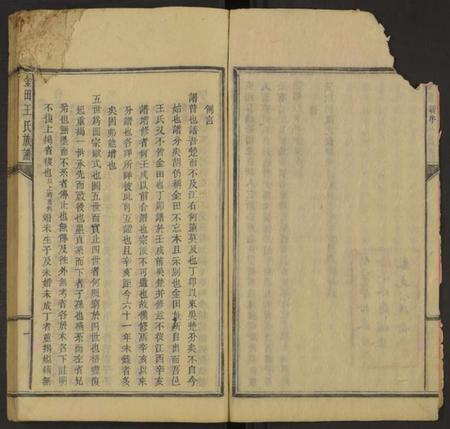 湖南王氏族谱-金田王氏族谱 [残卷].pdf电子版插图3