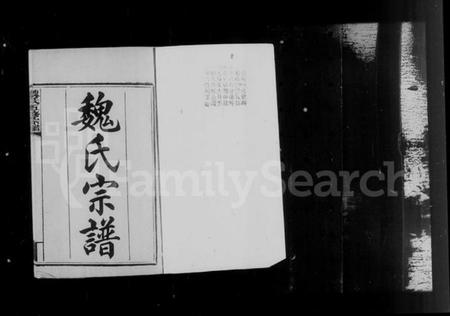 湖南魏氏族谱-衡阳魏氏五修宗谱 [40卷,首1卷].pdf电子版插图2