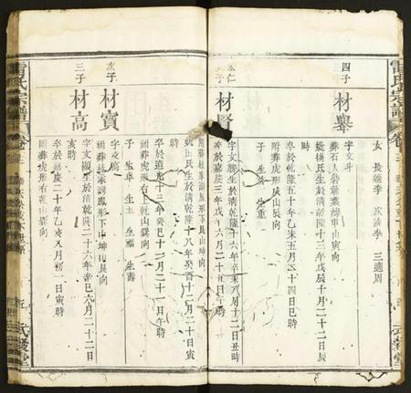 湖北雷氏族谱-雷氏宗谱.pdf电子版插图5