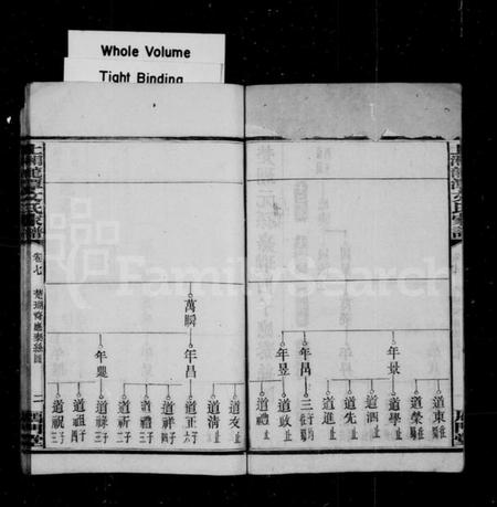 湖南文氏族谱-上湘龙潭文氏家谱 [7卷].pdf电子版插图3