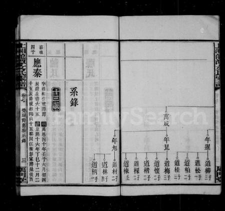 湖南文氏族谱-上湘龙潭文氏家谱 [7卷].pdf电子版插图4