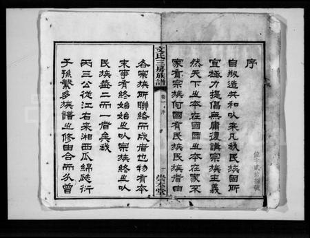 湖南文氏族谱-文氏三房族谱 [4卷].pdf电子版插图2