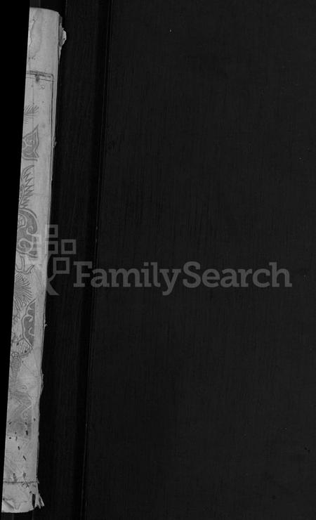 湖北雷氏族谱-雷氏宗谱 [25卷,首3卷].pdf电子版插图2