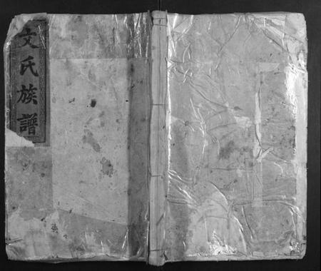 湖南文氏族谱-文氏合修族谱[3卷首1卷].pdf电子版