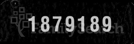 湖北雷氏族谱-雷氏宗谱 [40卷,及卷首].pdf电子版