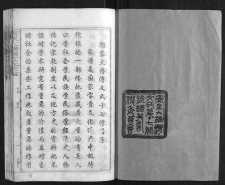 湖南文氏族谱-衡东大桥湾文氏族谱[13卷,首末各1卷].pdf电子版插图1