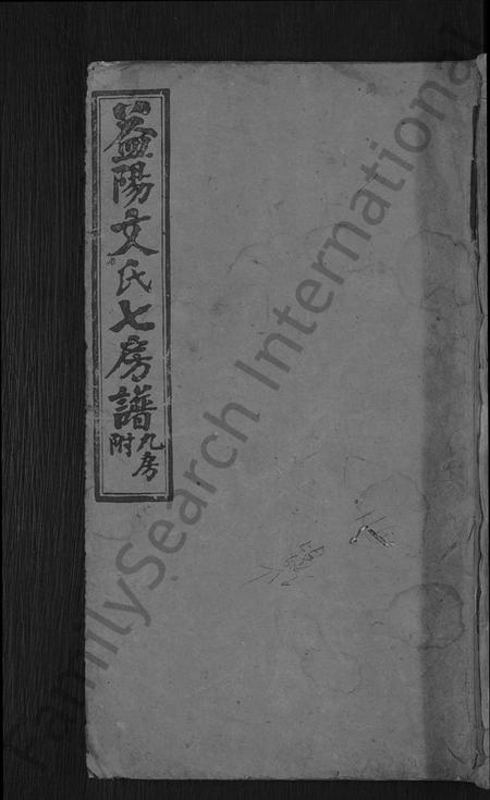 湖南文氏族谱-益阳文氏七房谱, 九房附 [28卷,首2卷,末1卷].pdf电子版