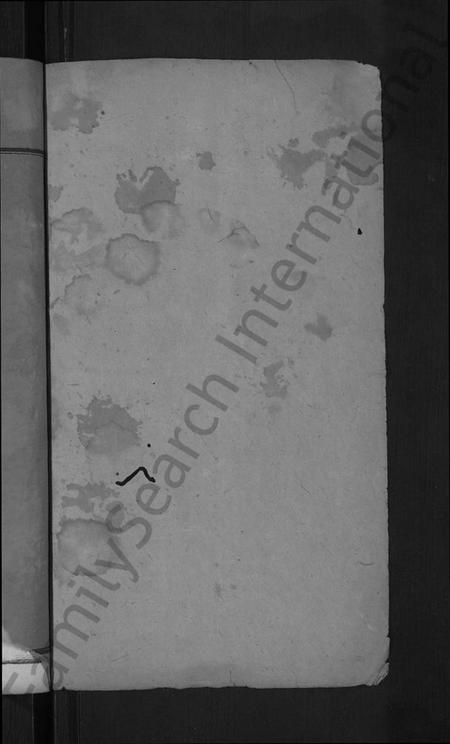 湖南文氏族谱-益阳文氏七房谱, 九房附 [28卷,首2卷,末1卷].pdf电子版插图2