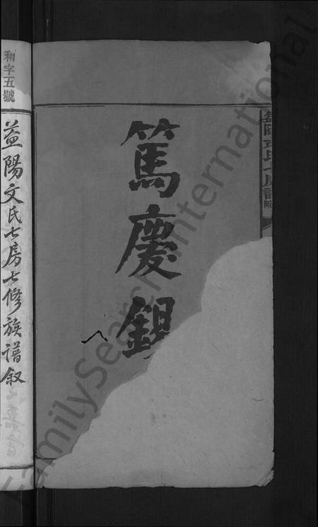 湖南文氏族谱-益阳文氏七房谱, 九房附 [28卷,首2卷,末1卷].pdf电子版插图4