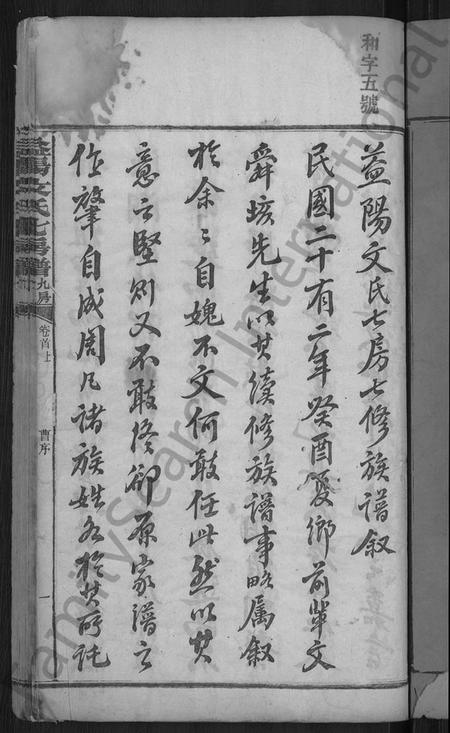 湖南文氏族谱-益阳文氏七房谱, 九房附 [28卷,首2卷,末1卷].pdf电子版插图5