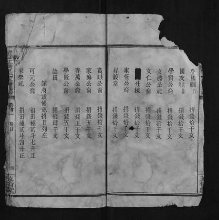 湖南巫氏族谱-醴东虹桥巫氏三修族谱.pdf电子版插图4