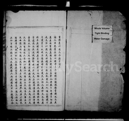 浙江周氏族谱-象川周氏宗谱.pdf电子版插图2