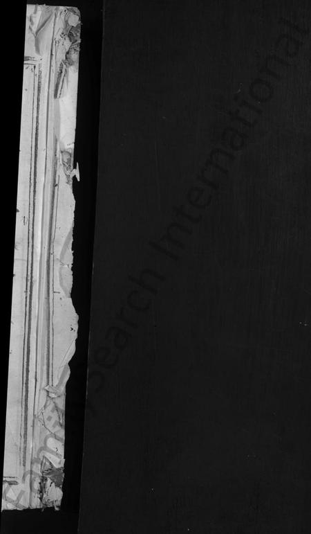 江西梁氏族谱-白沙梁氏十二修族谱 [不分卷].pdf电子版插图2