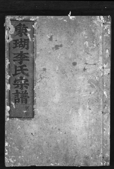 浙江李氏族谱-象瑚李氏宗谱[5卷].pdf电子版插图1