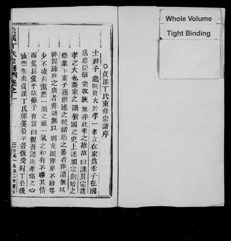 浙江丁氏族谱-贞溪丁氏宗谱 [8卷,及卷首].pdf电子版插图2