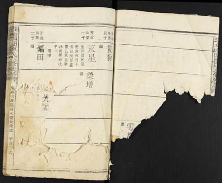 江西廖氏族谱-瑞金西关廖氏六修族谱.pdf电子版插图3