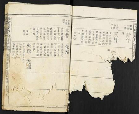 江西廖氏族谱-瑞金西关廖氏六修族谱.pdf电子版插图4