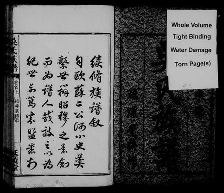 湖南吴氏族谱-吴氏族谱 [卷数杂异].pdf电子版插图3