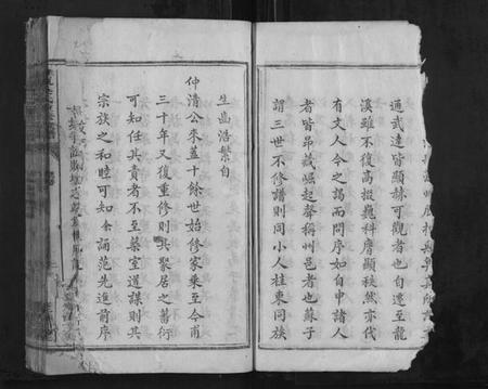 湖南吴氏族谱-桂东吴氏重修族谱[不分卷].pdf电子版插图5