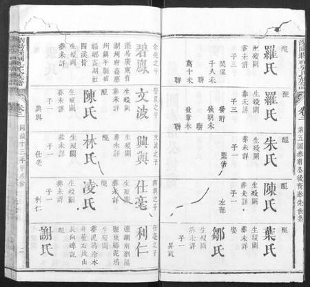 湖南吴氏族谱-浏阳县祠吴氏族谱.pdf电子版插图2 湖南吴氏族谱-浏阳县祠吴氏族谱.pdf电子版插图2